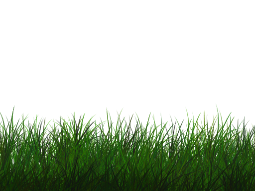 Field Grass Green Free HD Image Transparent PNG Image