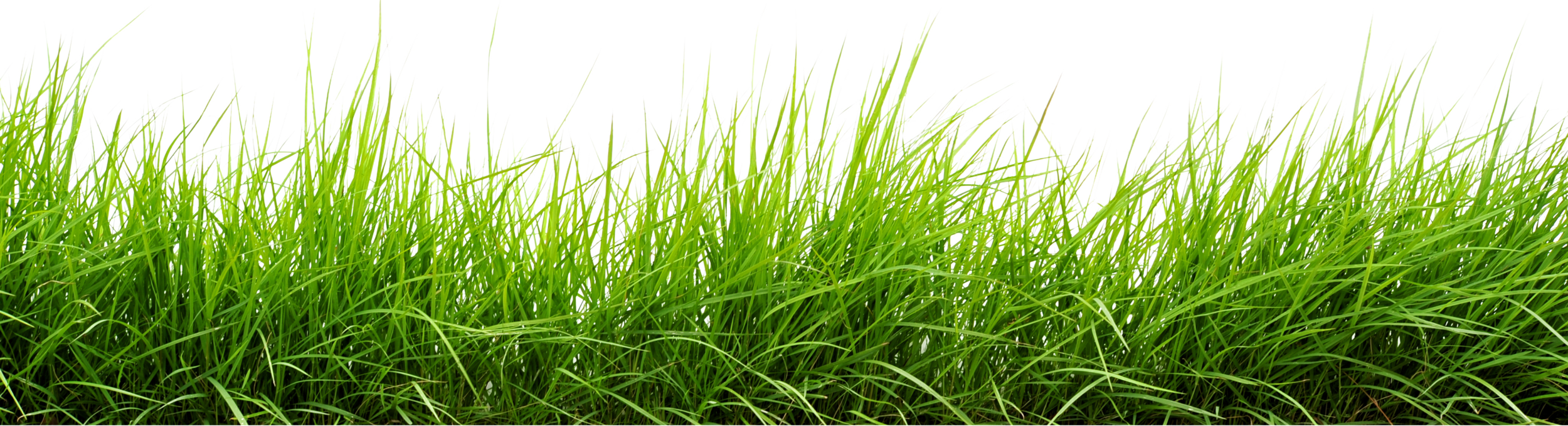 Field Grass Green Landscape Free PNG HQ Transparent PNG Image