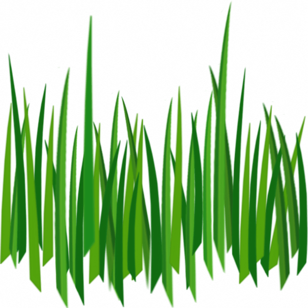 Grass Png Image Green Grass Png Picture Transparent PNG Image