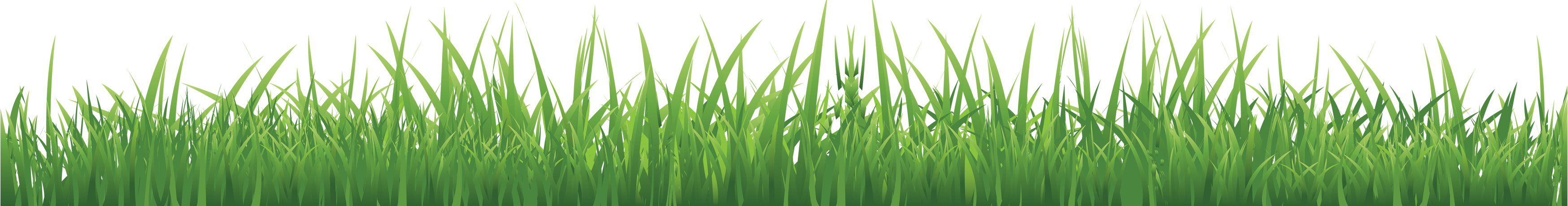 Grass Free Clipart HQ Transparent PNG Image