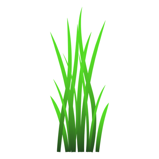 Vector Grass PNG Image High Quality Transparent PNG Image