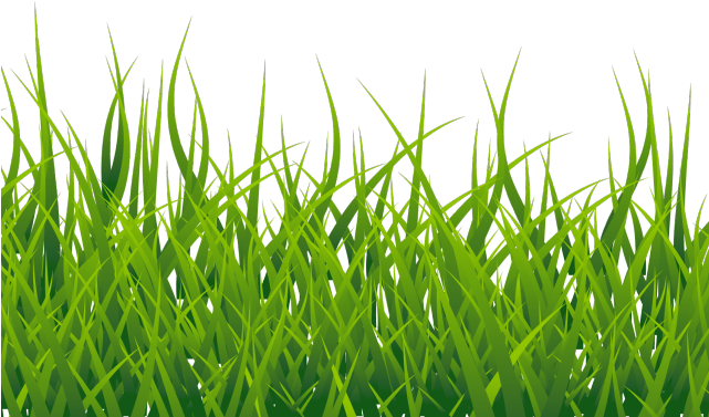 Vector Grass Free Photo Transparent PNG Image