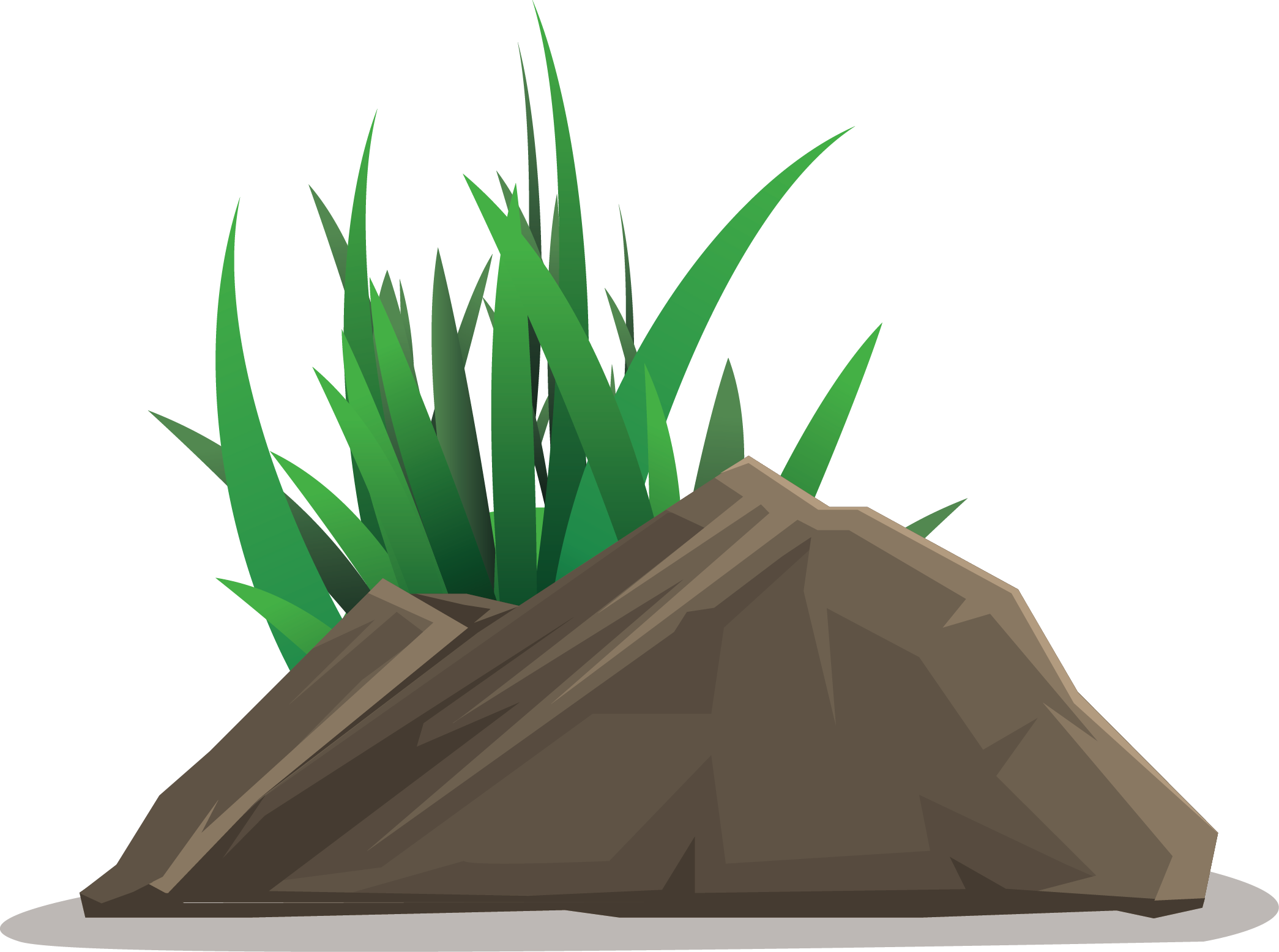 Vector Grass PNG Free Photo Transparent PNG Image