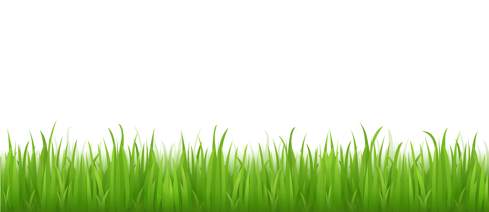 Vector Photos Grass Free Clipart HD Transparent PNG Image