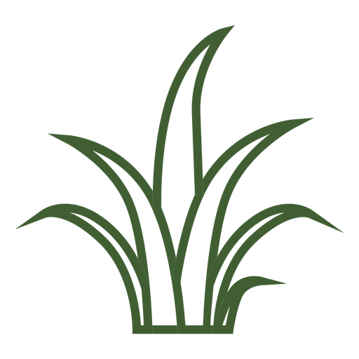 Vector Grass PNG Free Photo Transparent PNG Image