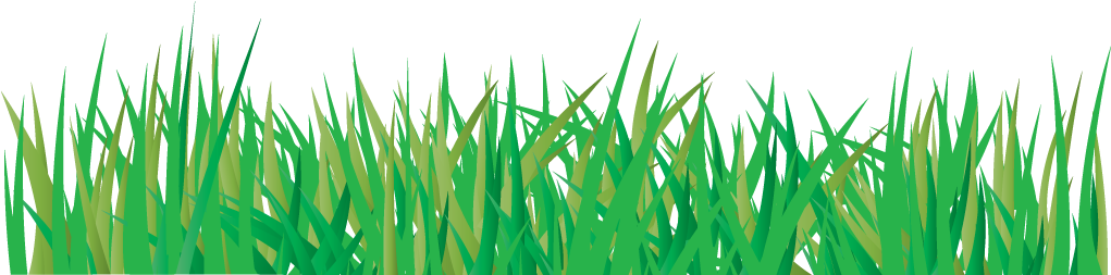 Vector Grass PNG Download Free Transparent PNG Image