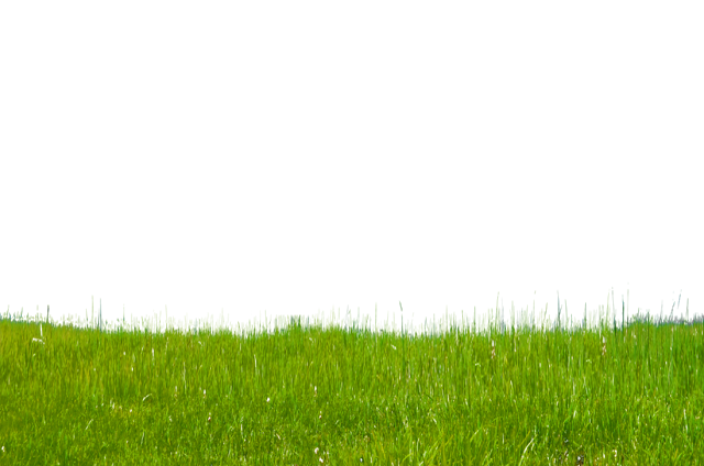 Grass Green Download Free Image Transparent PNG Image