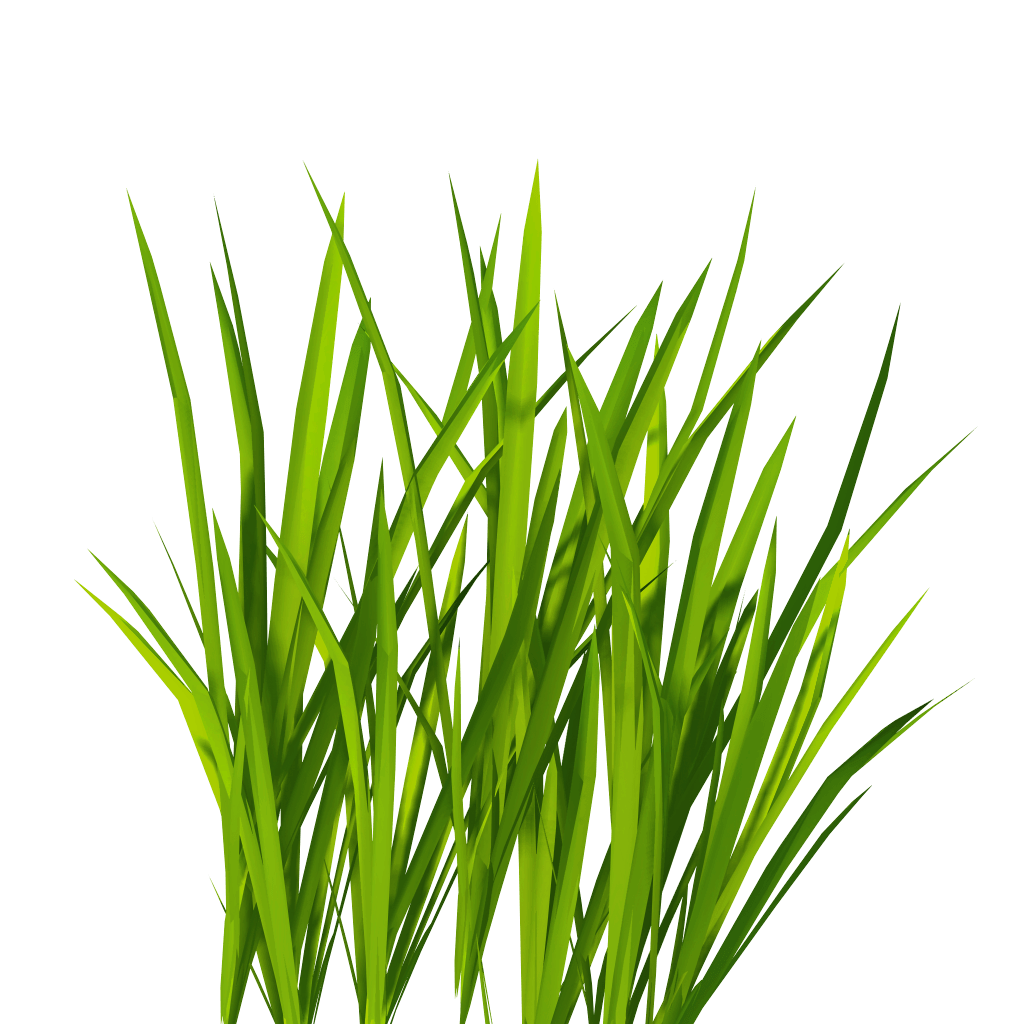 Grass Green Free Download Image Transparent PNG Image