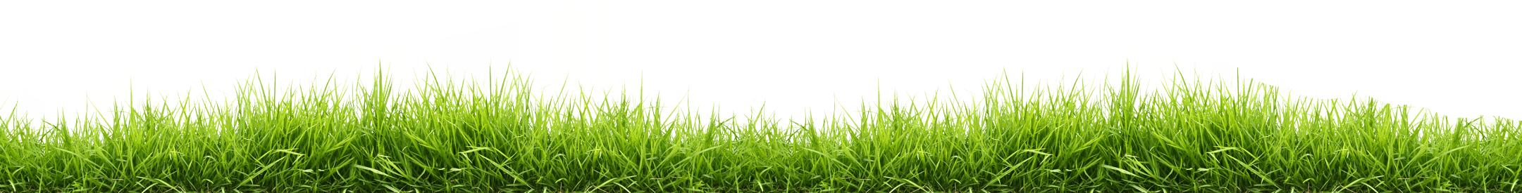 Grass Green Download Free Image Transparent PNG Image