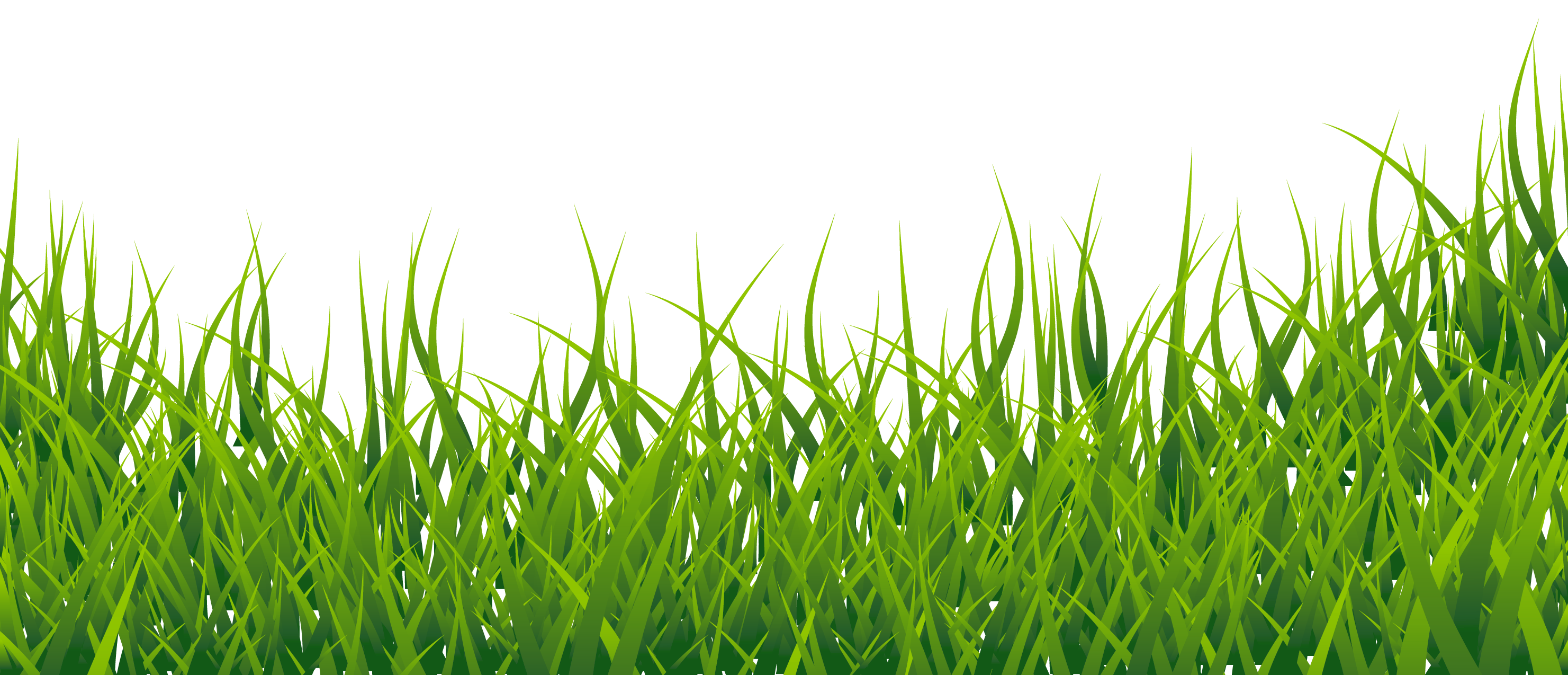 Vector Grass Green HD Image Free Transparent PNG Image