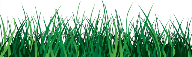 Vector Grass Green Free Download PNG HQ Transparent PNG Image