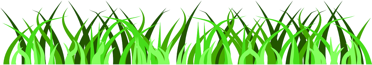 Vector Grass Green Free Download PNG HD Transparent PNG Image