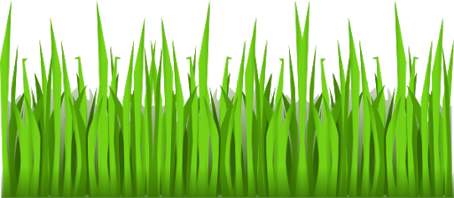 Vector Grass Green Free Transparent Image HD Transparent PNG Image