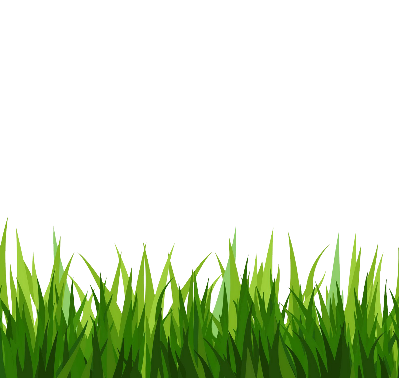 Vector Grass Natural Free Transparent Image HQ Transparent PNG Image