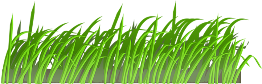 Vector Grass Natural Free Clipart HD Transparent PNG Image