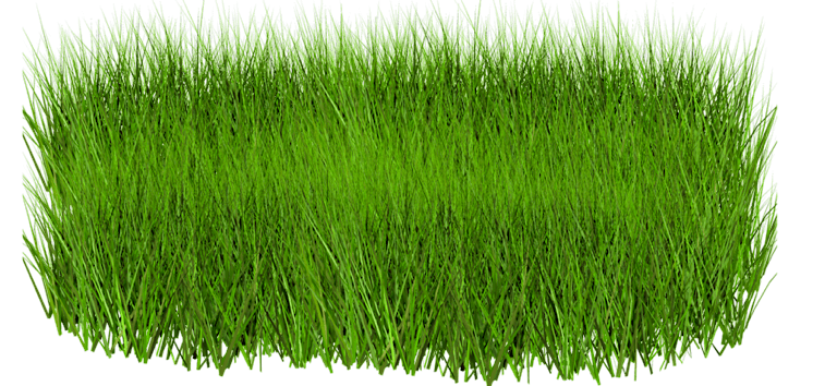 Grass Png Image Green Picture Transparent PNG Image