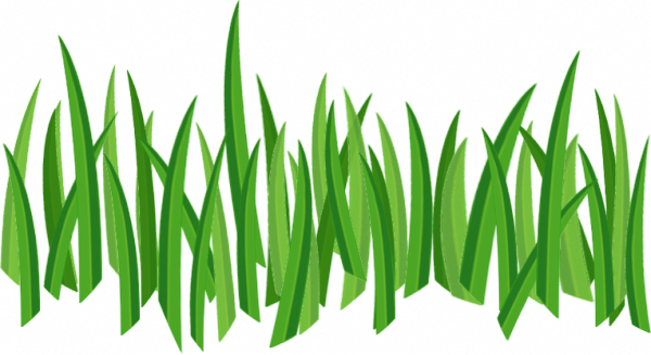 Grass Png Image Green Picture Transparent PNG Image