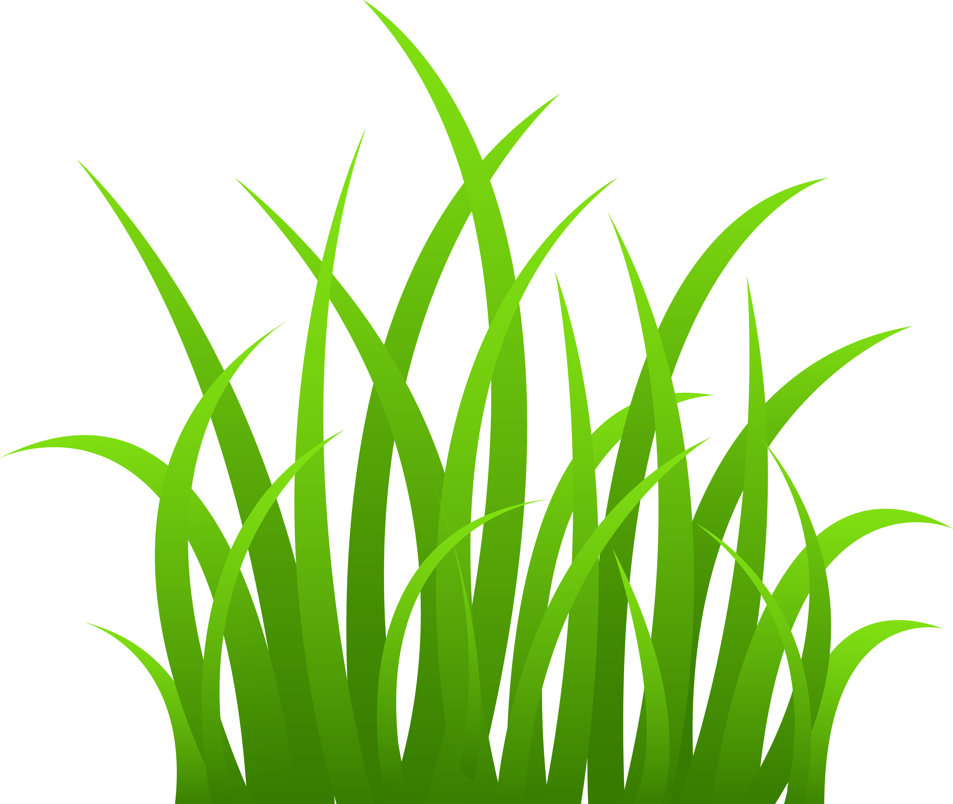 Grass Png Image Green Grass Png Picture Transparent PNG Image