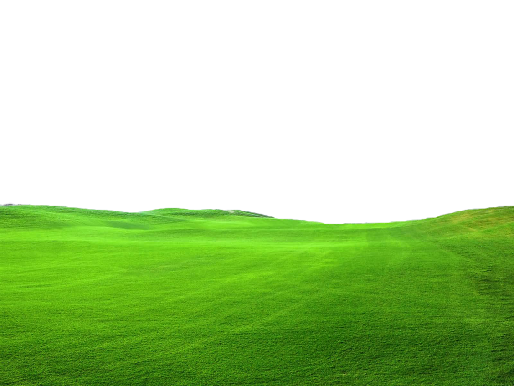 Grass Png Pic Transparent PNG Image