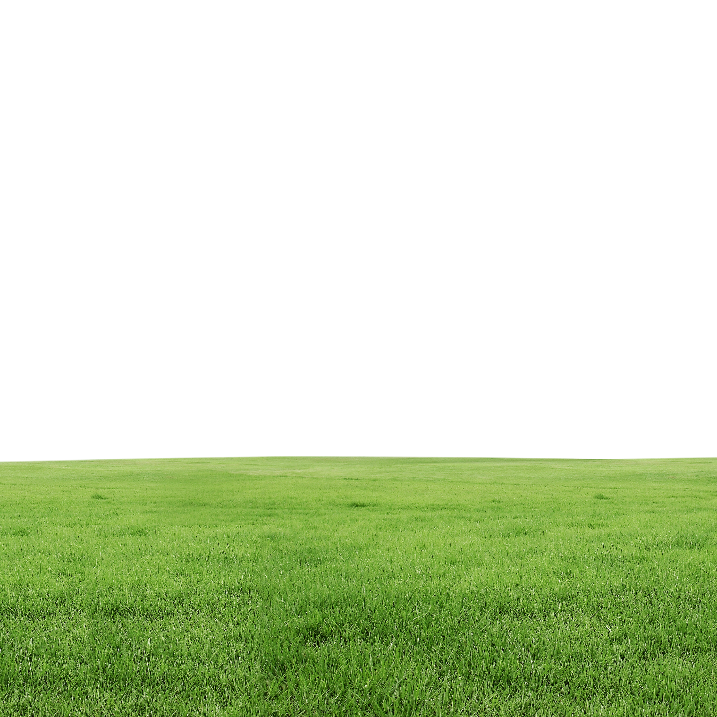 Lawn Grass PNG Download Free Transparent PNG Image