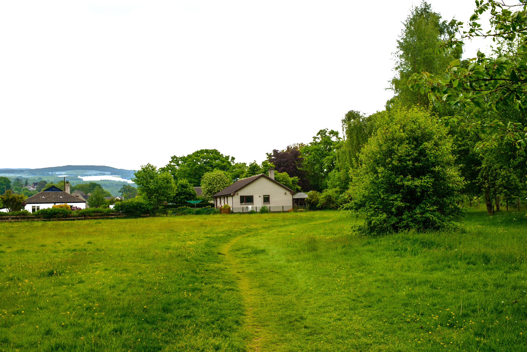 Suburb Lawn Grass Green Landscape Free HQ Image Transparent PNG Image