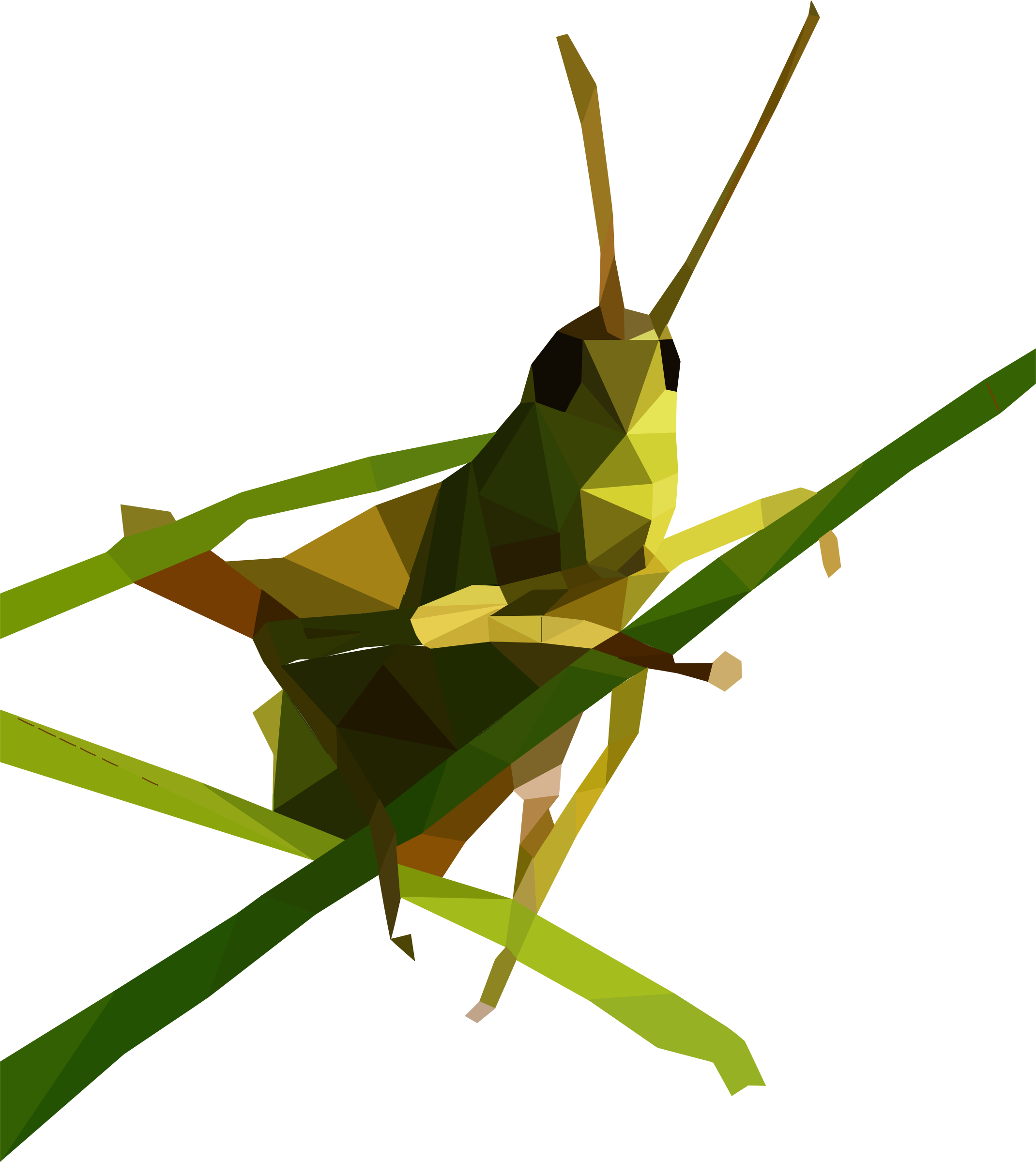 Grasshopper Free Download Transparent PNG Image