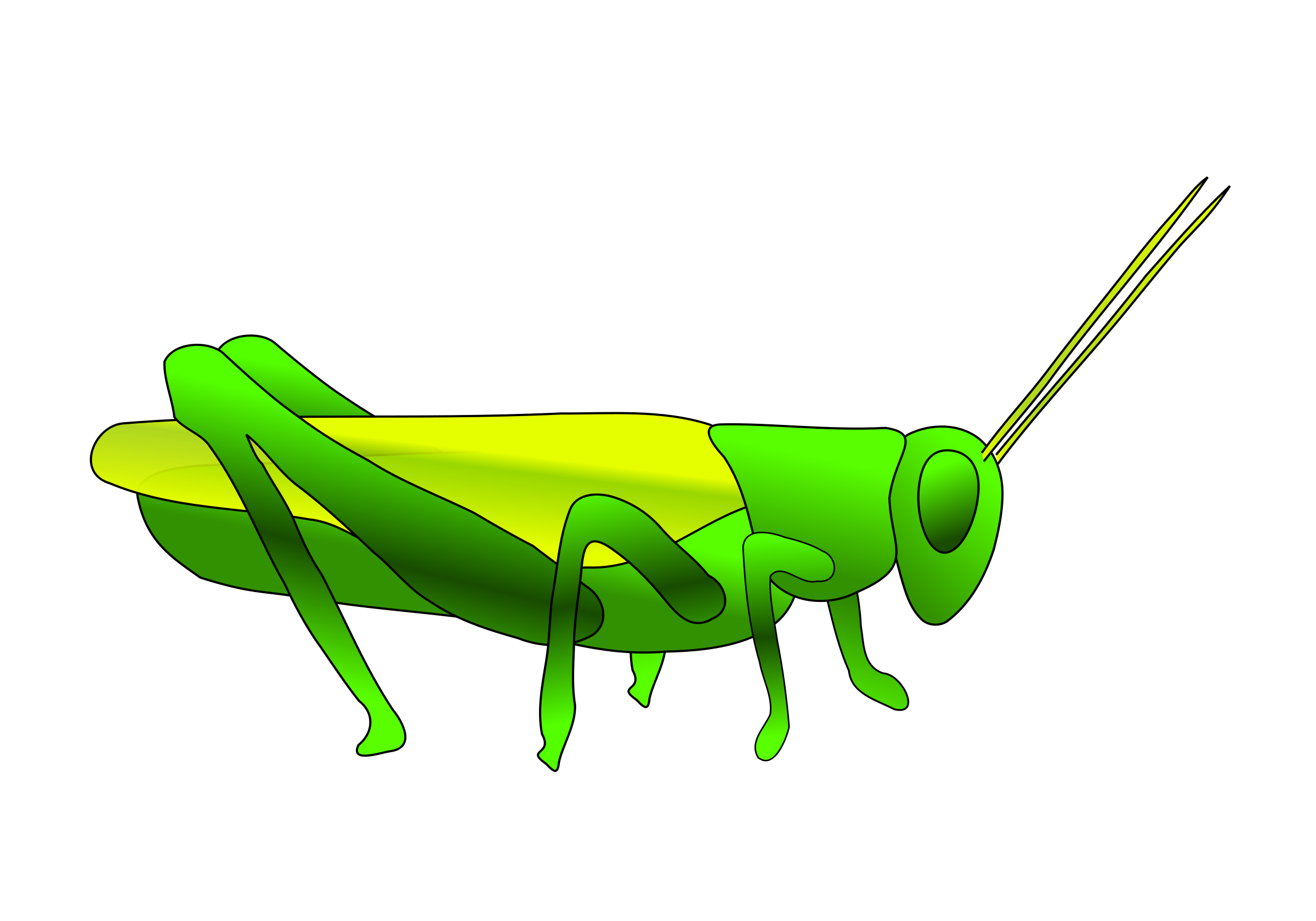 Grasshopper Hd Transparent PNG Image