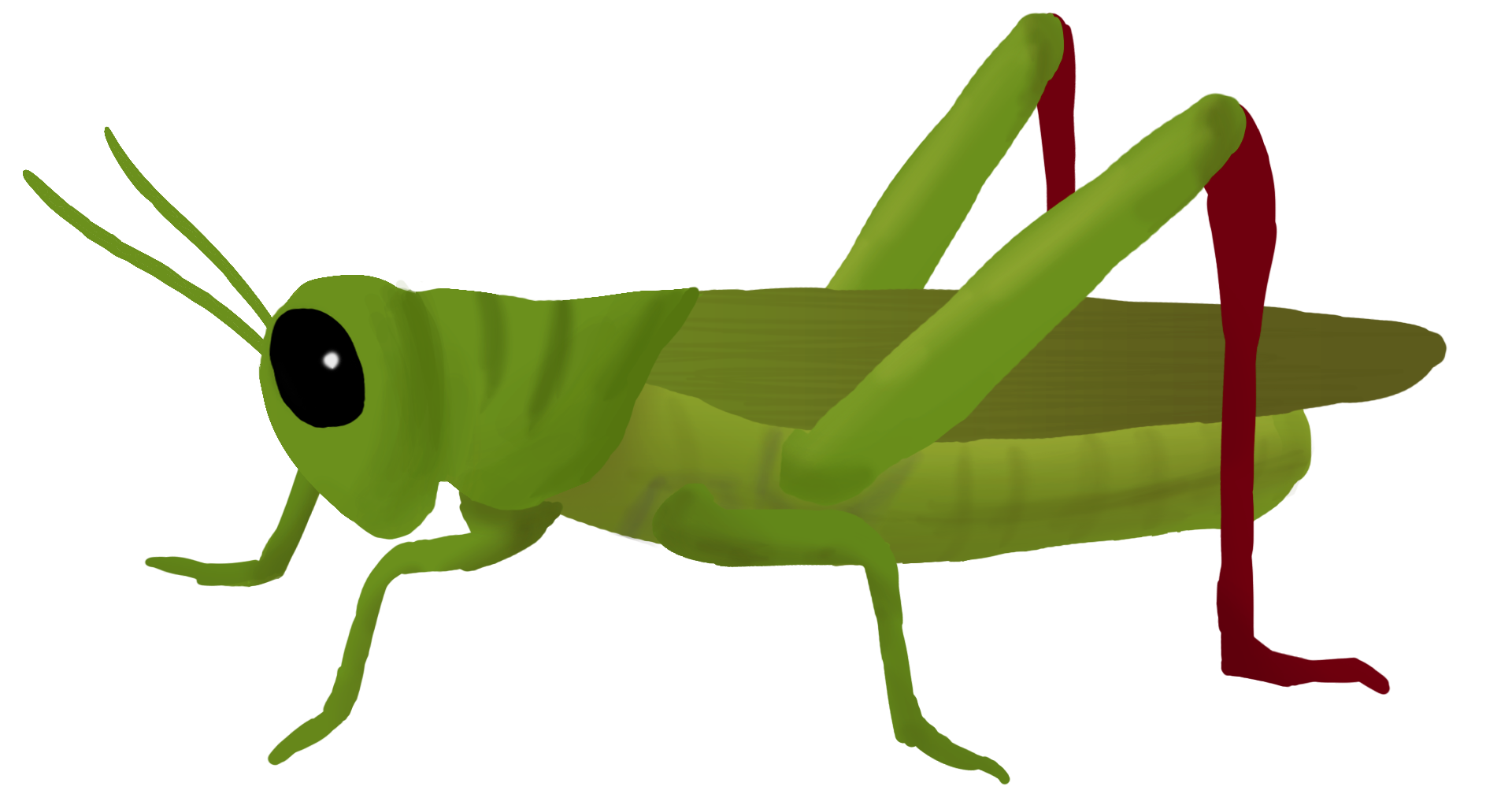 Grasshopper Clipart Transparent PNG Image