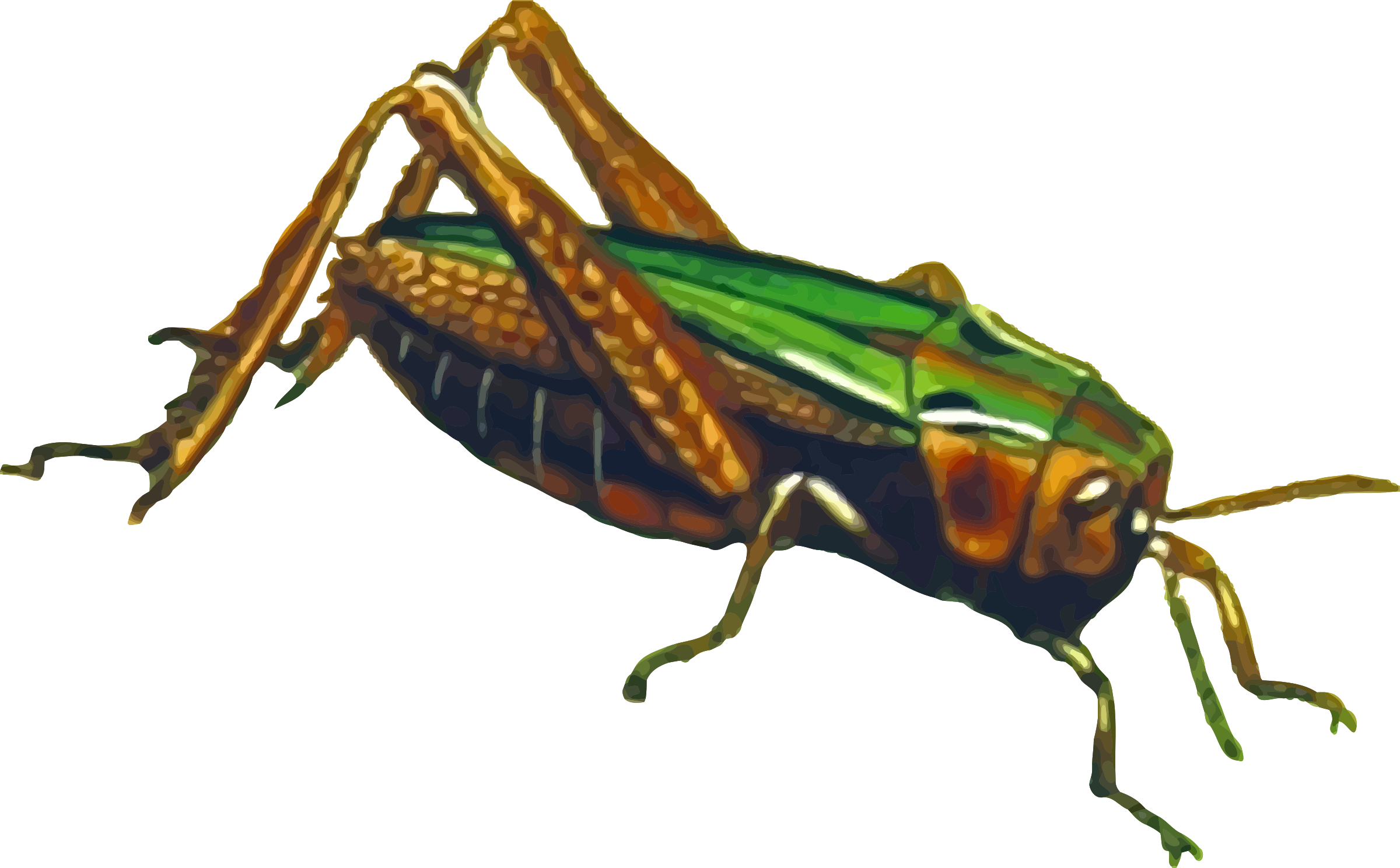 Grasshopper File Transparent PNG Image