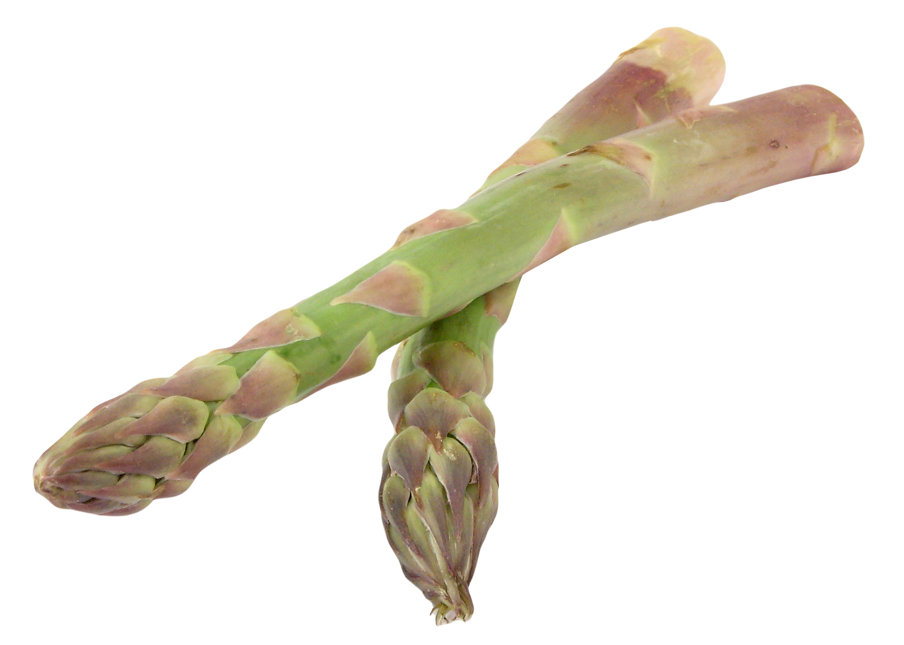 Asparagus Bundle PNG File HD Transparent PNG Image