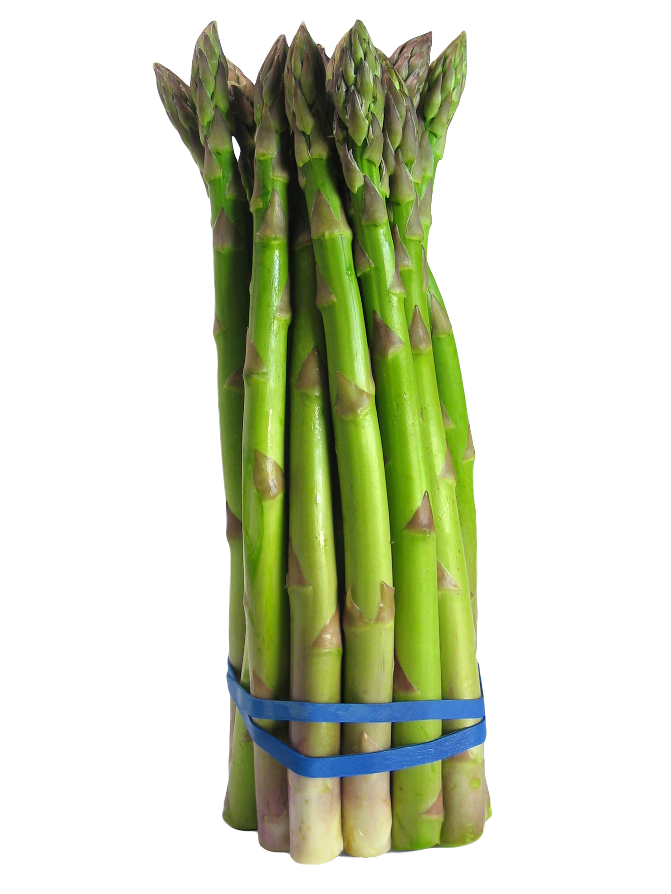 Asparagus Picture Bundle PNG File HD Transparent PNG Image