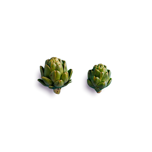 Single Artichoke Free HQ Image Transparent PNG Image