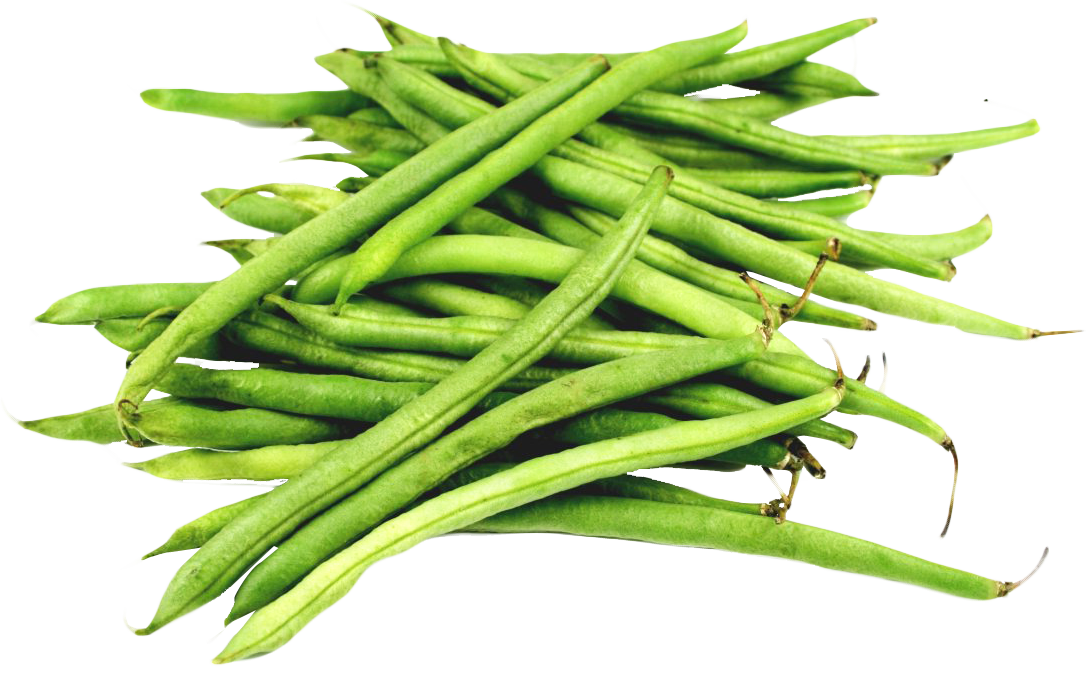 Beans Green Free HQ Image Transparent PNG Image