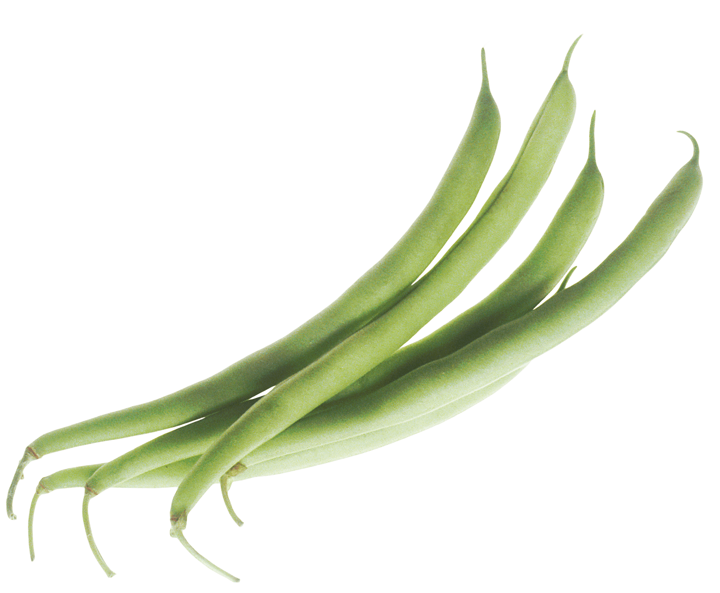 Vegetable Beans Green HD Image Free Transparent PNG Image