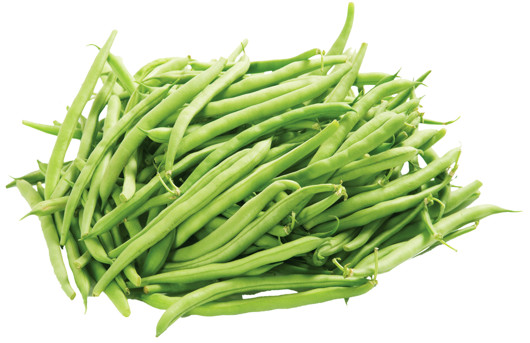 Fresh Green Beans Free Clipart HD Transparent PNG Image