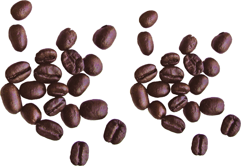 Coffee Beans Falling Free Download PNG HD Transparent PNG Image