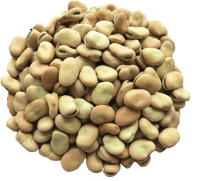 Beans Dried PNG Image High Quality Transparent PNG Image