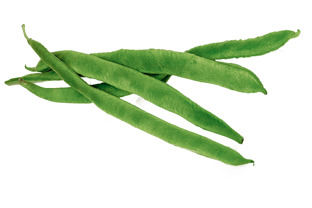 Fresh Beans PNG Image High Quality Transparent PNG Image