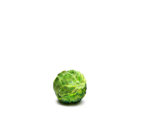 Sprouts Brussels Free PNG HQ Transparent PNG Image