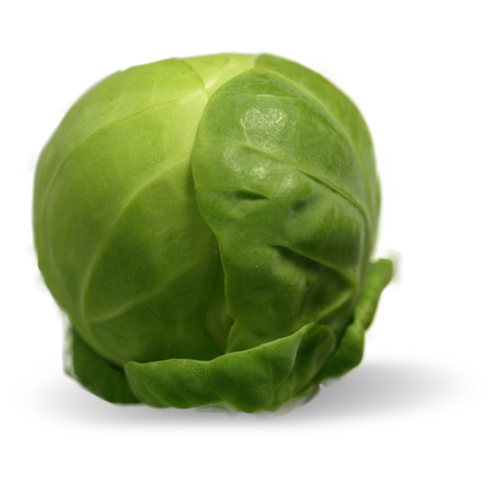 Sprouts Brussels PNG Download Free Transparent PNG Image