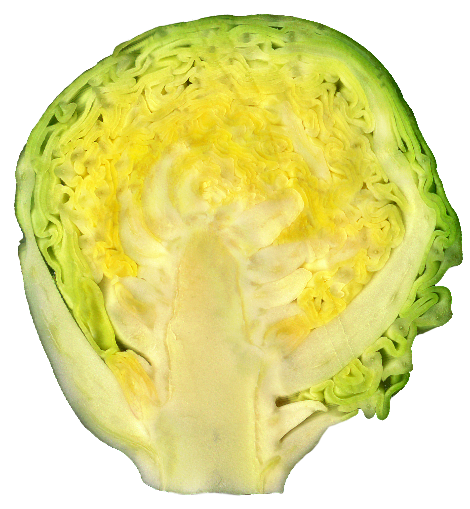 Sprouts Brussels Half Free Transparent Image HQ Transparent PNG Image