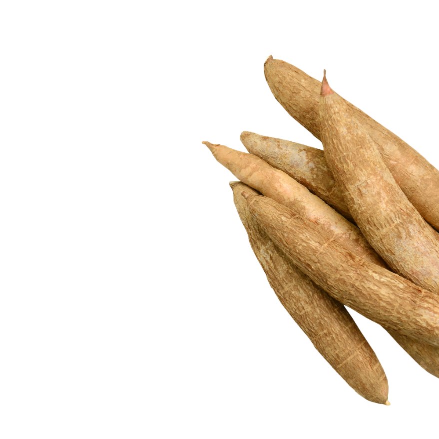 Organic Cassava PNG File HD Transparent PNG Image