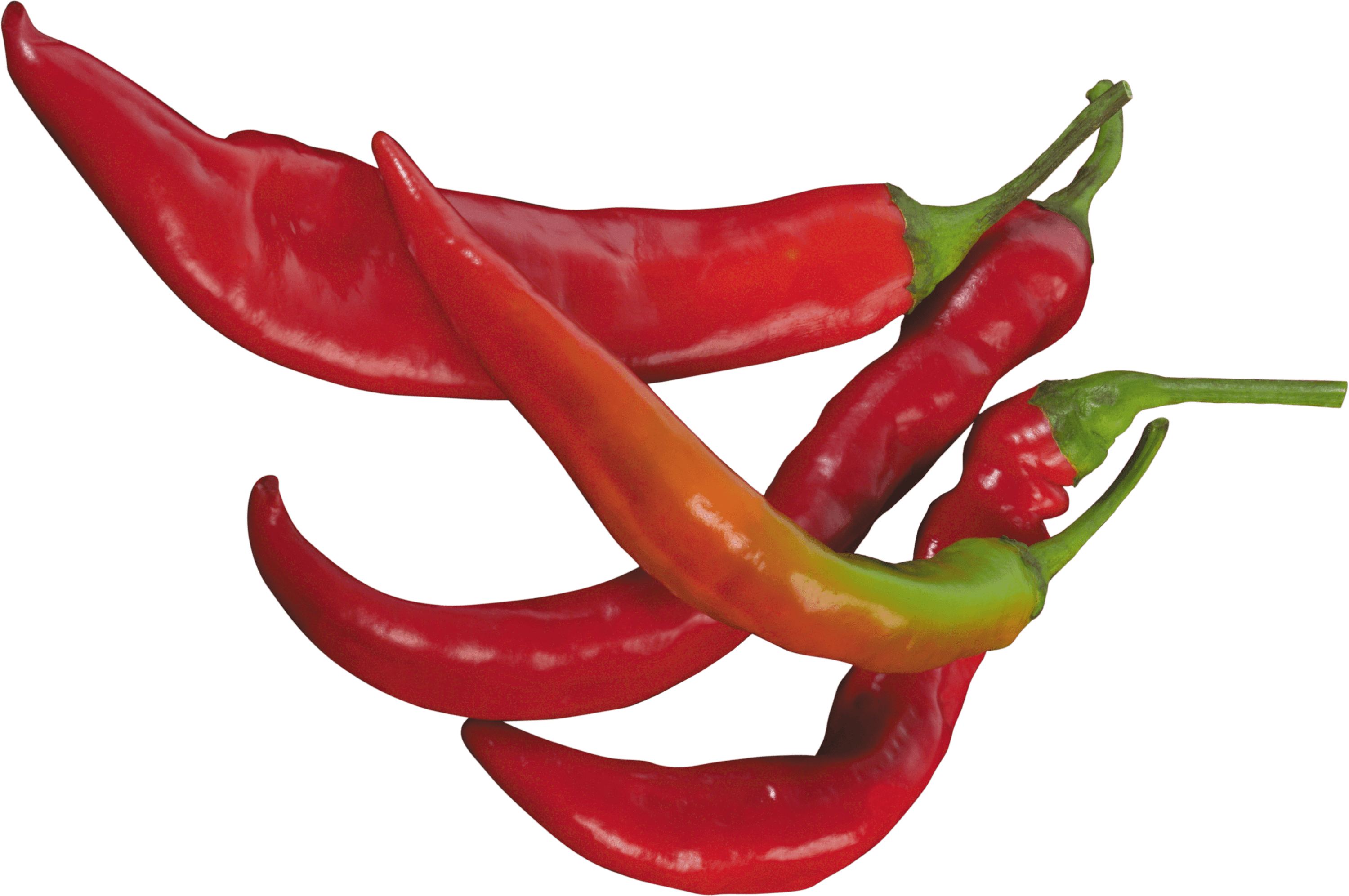 And Fresh Green Red Chilli Transparent PNG Image