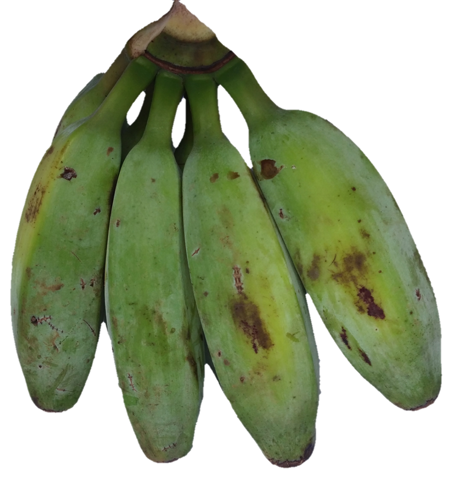 Plantain Green HQ Image Free Transparent PNG Image