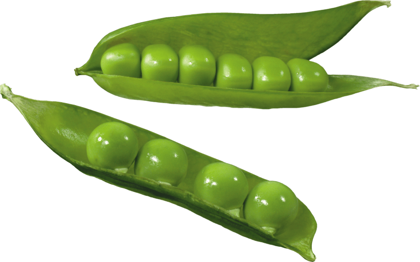 Green Organic Pea Download Free Image Transparent PNG Image