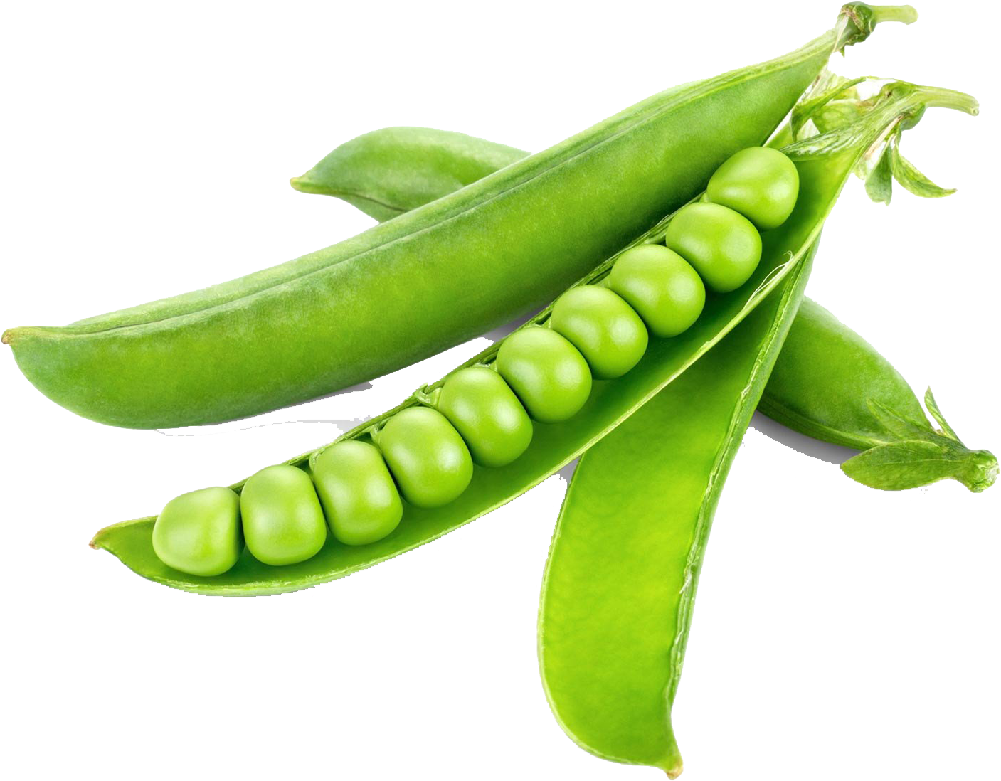 Green Organic Pea Photos Free Download PNG HQ Transparent PNG Image