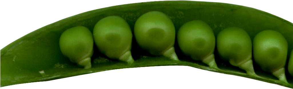 Green Organic Pea Free Photo Transparent PNG Image