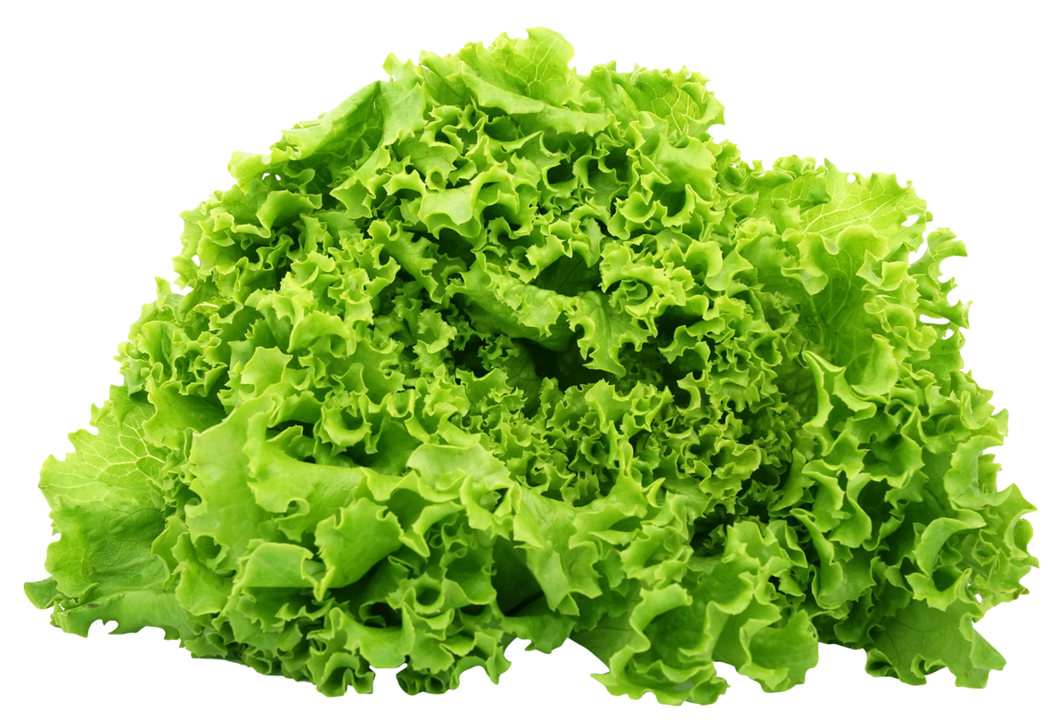 Celtuce Free Download PNG HQ Transparent PNG Image