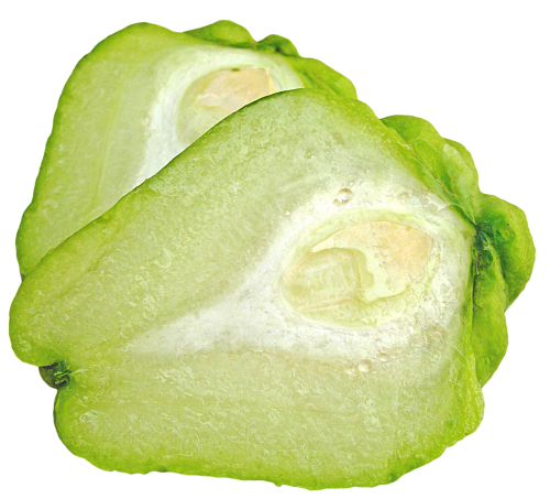 Fresh Chayote Free PNG HQ Transparent PNG Image