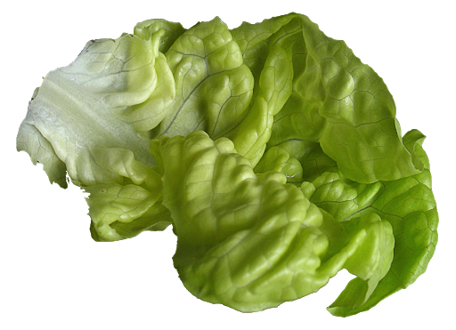 Celtuce Green Free Transparent Image HD Transparent PNG Image